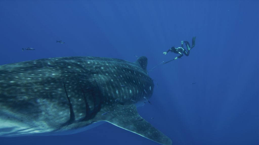 997bac4c-c040-49dc-a64d-47ed381d213f