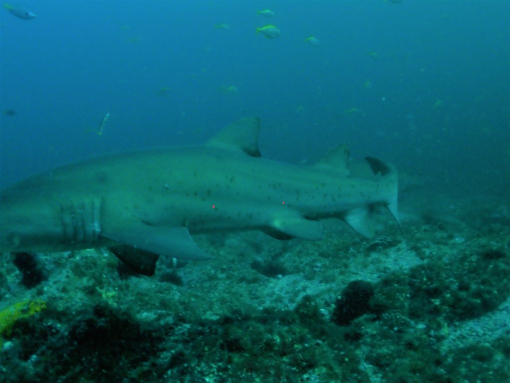 60ee7723-b34a-4392-b5e4-6017323fddf9