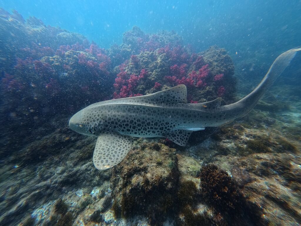 a8a27b58-d8a5-45bd-b2a0-c9a9b0756f02