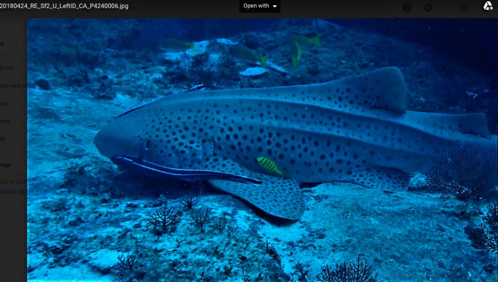 36bf3eb2-e98b-4a3c-894e-2881db0ab0c4