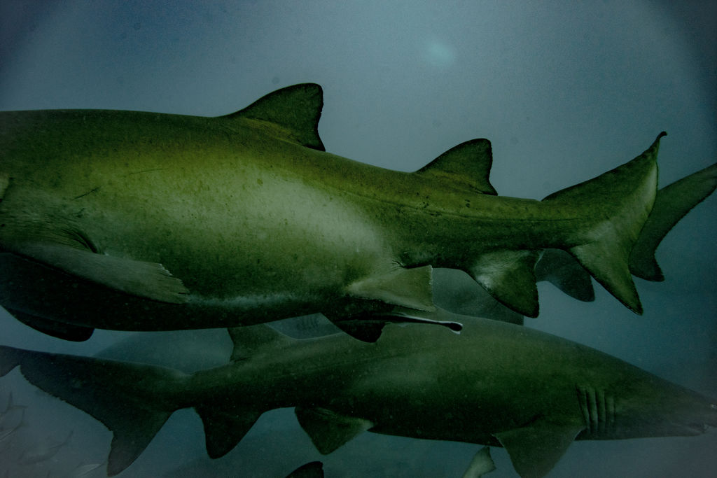 c04de693-4375-4106-b4a1-8c18853cb19e