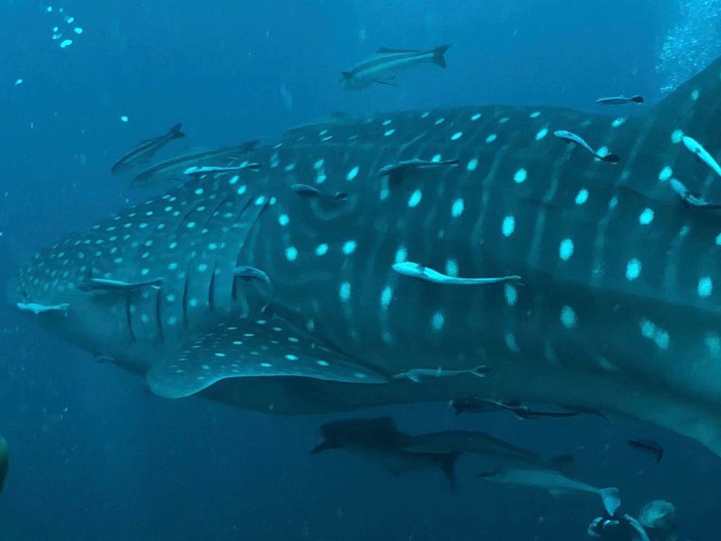 4180d1df-07b1-4cdc-b822-006ec706295c