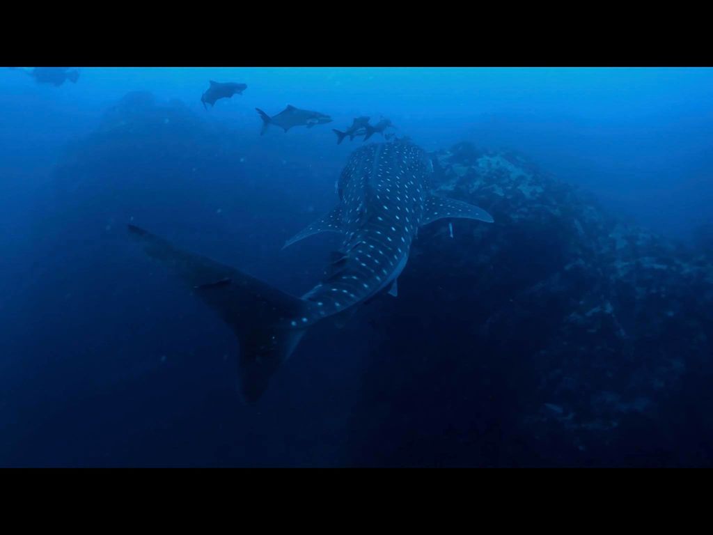 4180d1df-07b1-4cdc-b822-006ec706295c