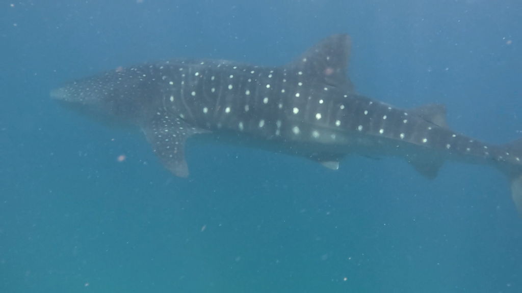 6f6467fc-3109-4d83-9591-d332415106b2