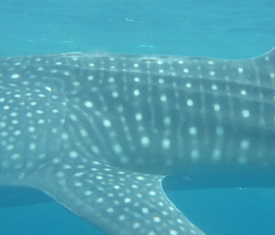 9d85c4ab-efc1-44b6-a803-296574198d4e