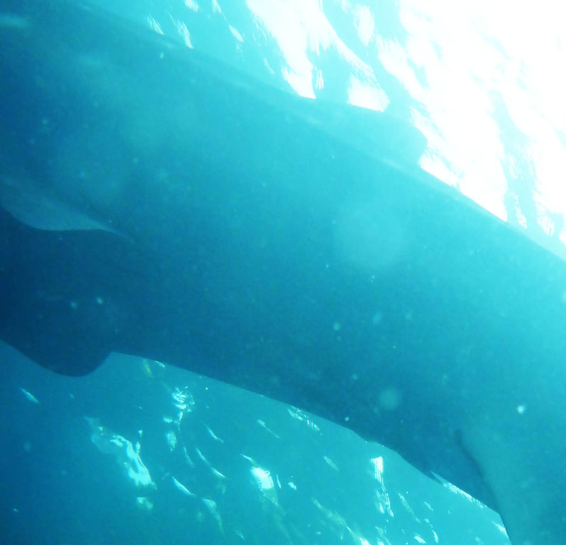 9d85c4ab-efc1-44b6-a803-296574198d4e