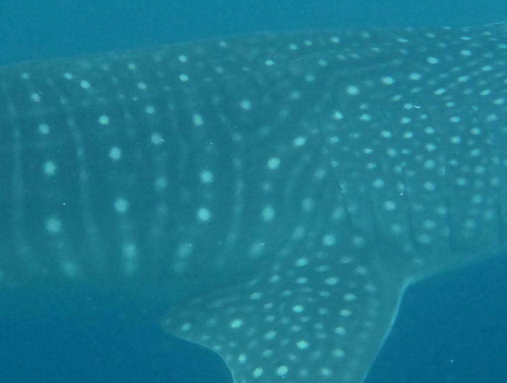 9d85c4ab-efc1-44b6-a803-296574198d4e