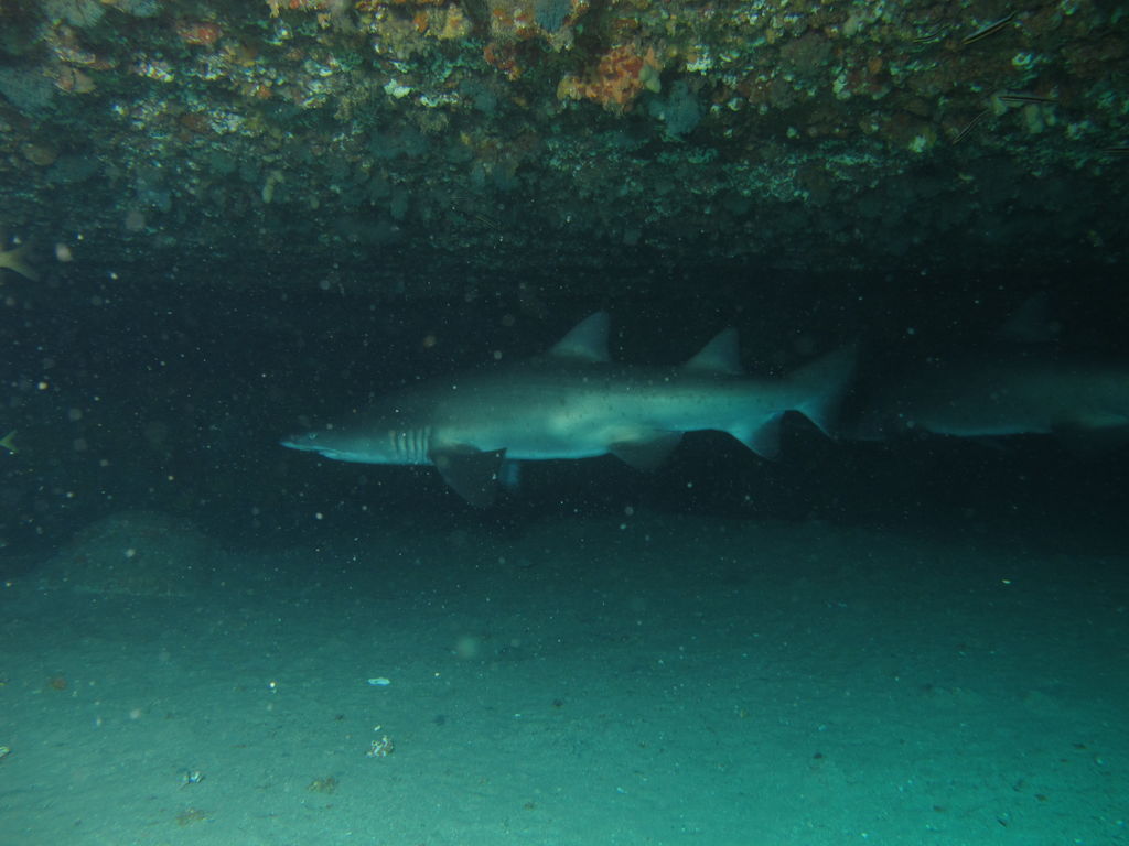 2ef3f4ad-c586-4db4-a655-6f367c9ec81e