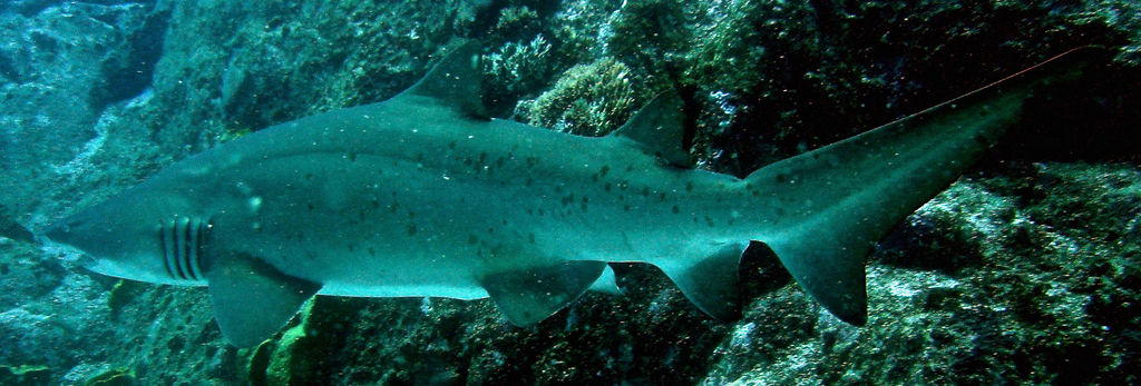 9afdf087-5c58-4724-99f8-4ca225de8477