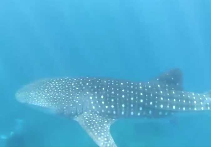 f2778a22-668b-4618-8e48-1f779a7359bf