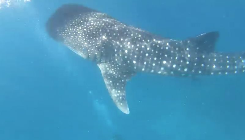 f2778a22-668b-4618-8e48-1f779a7359bf