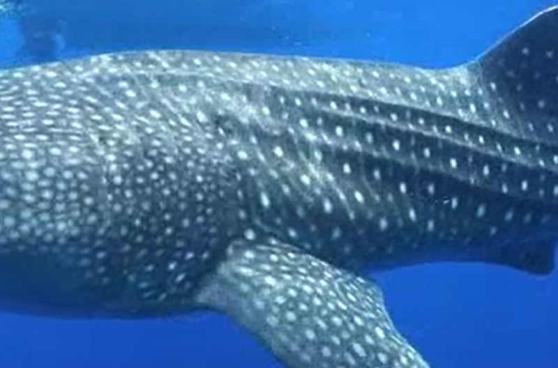 eb42f1ae-bbbd-4056-b454-b21e30898150