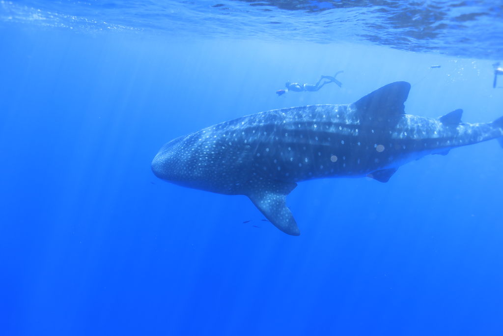 438f577b-929e-40d7-8cf9-5c6b21a8b433