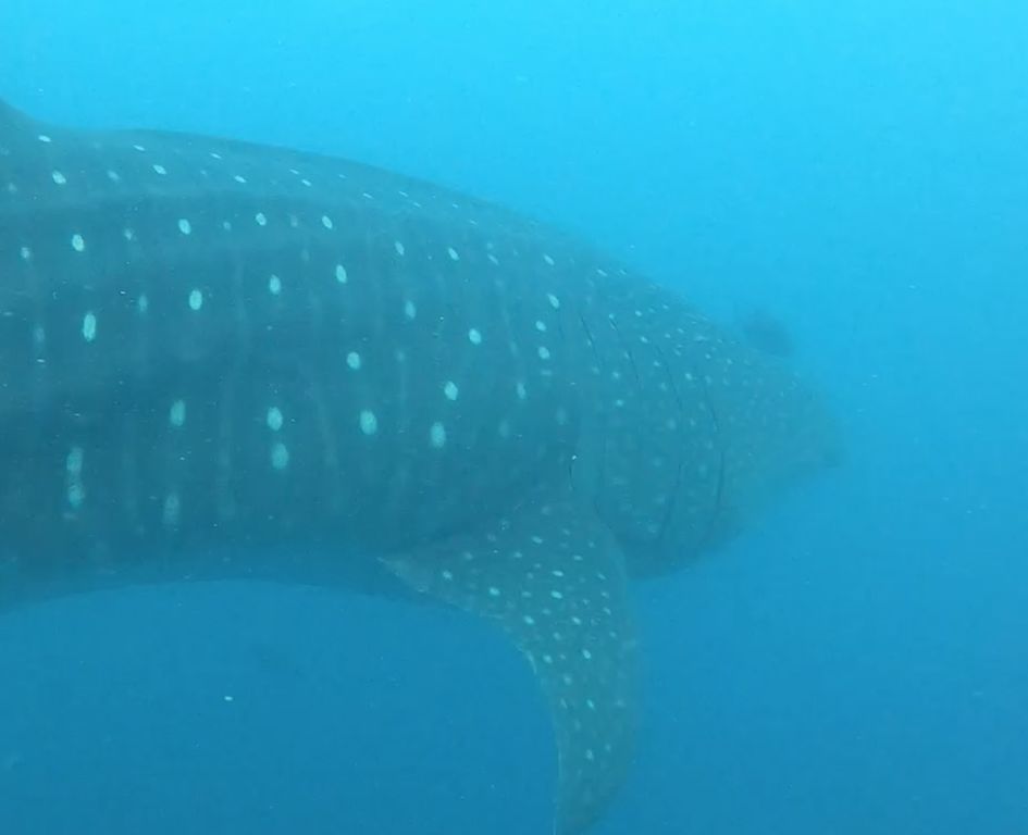 f7f350fb-0870-4d23-b5eb-7d6b5a240cca