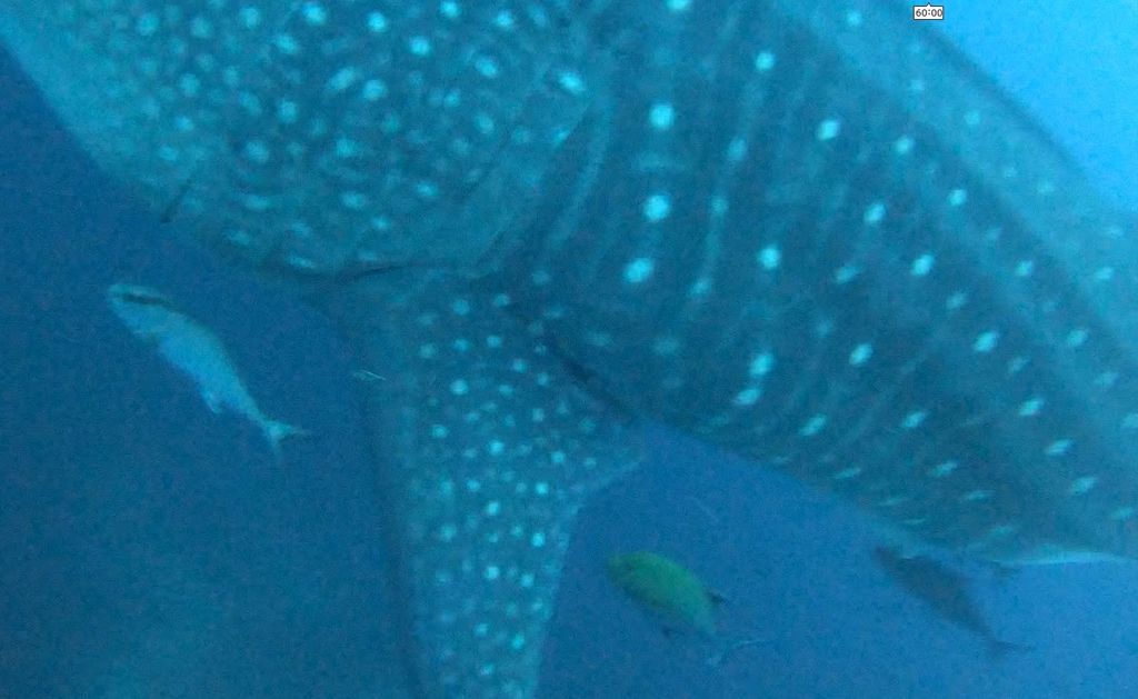 f7f350fb-0870-4d23-b5eb-7d6b5a240cca