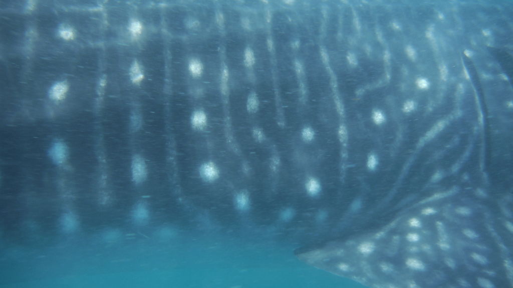 d8fb07d1-16a0-4098-8f59-50c7d7bbf930