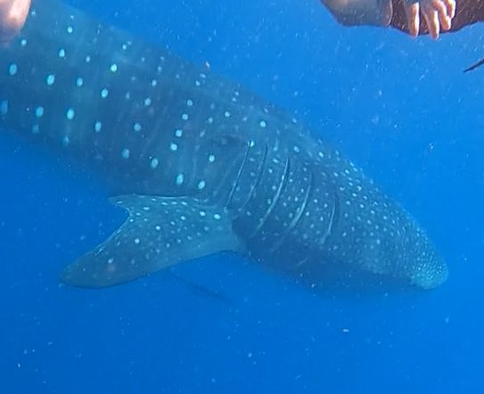 a964ac4c-6ec3-4916-93ec-b4bc49b03fa5