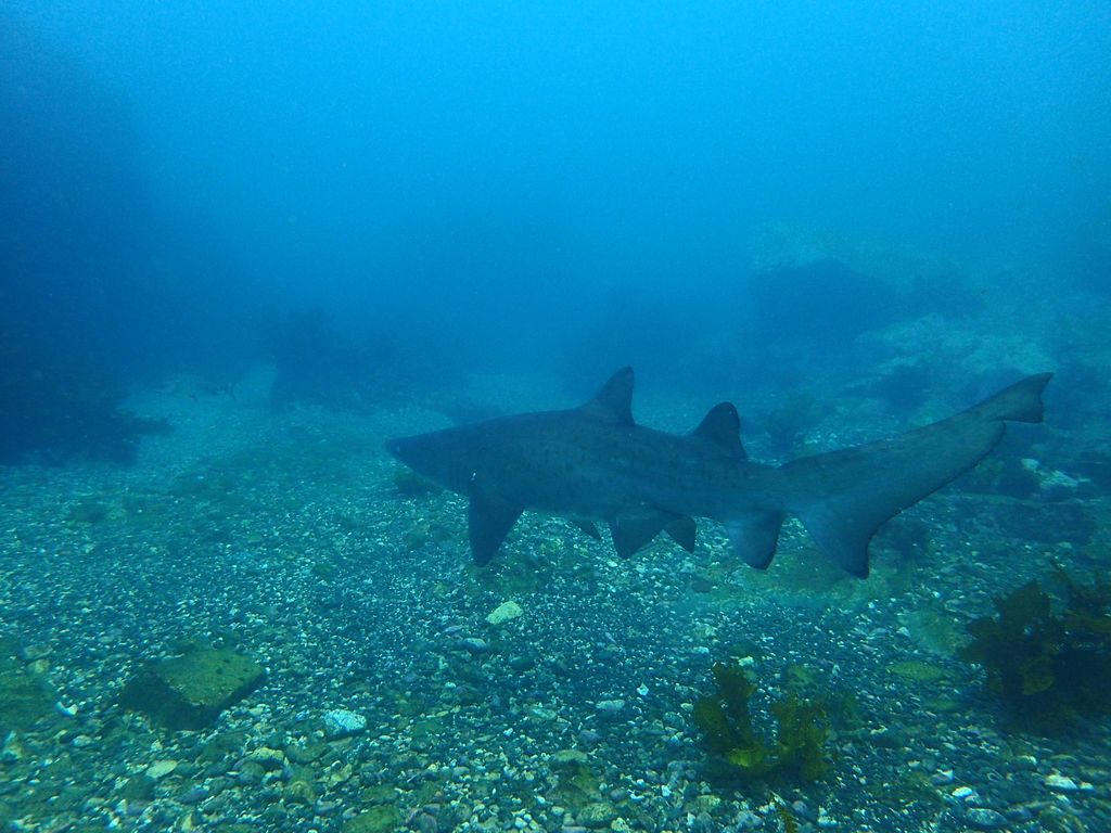 eca169eb-1c7f-4570-b660-6ecb947eee8c