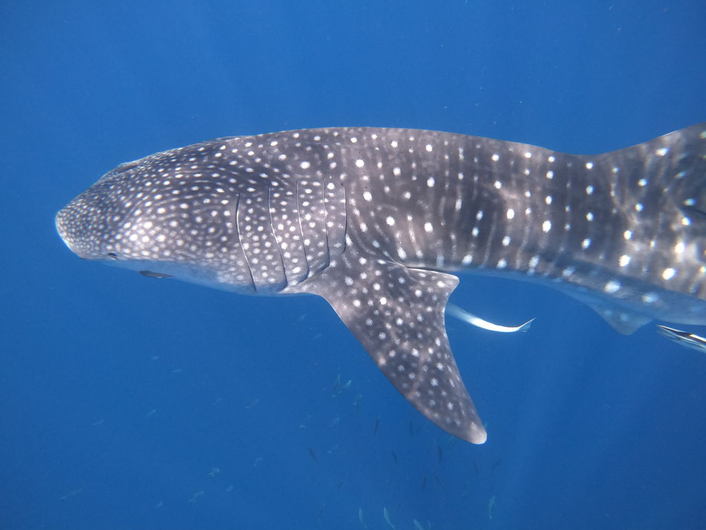 1e3b35f1-9651-4354-aa9b-cee4bcbc1da6