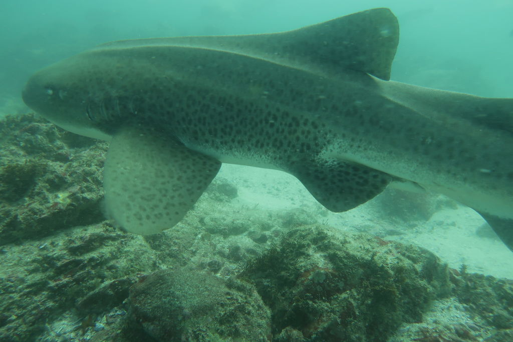 2f7e408a-4b0b-46c7-ba5d-c7589e67858b