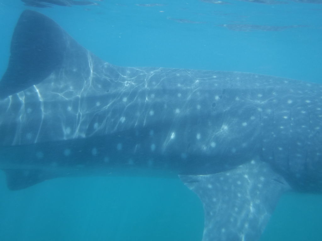 d2fad0fb-e318-4f88-a017-bc27af8b696b