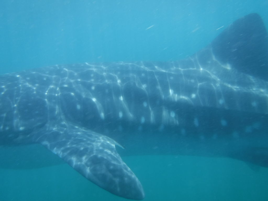 d2fad0fb-e318-4f88-a017-bc27af8b696b