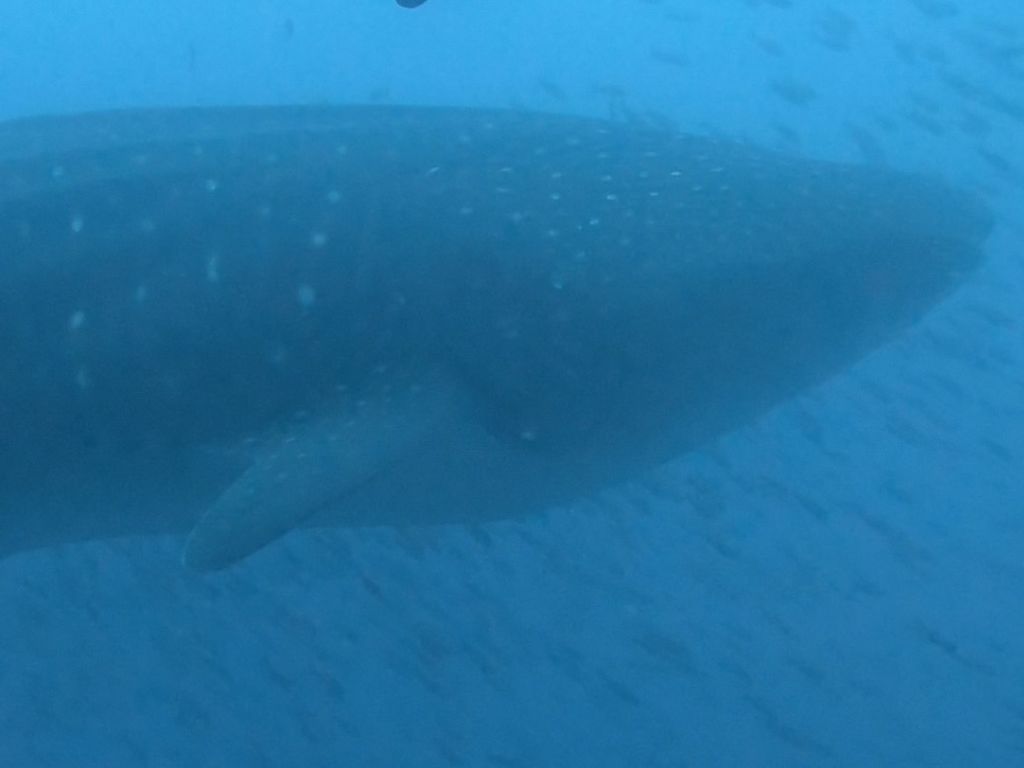 1e8c711f-87c7-428e-b403-517053672e45