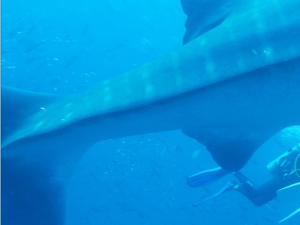 1e8c711f-87c7-428e-b403-517053672e45