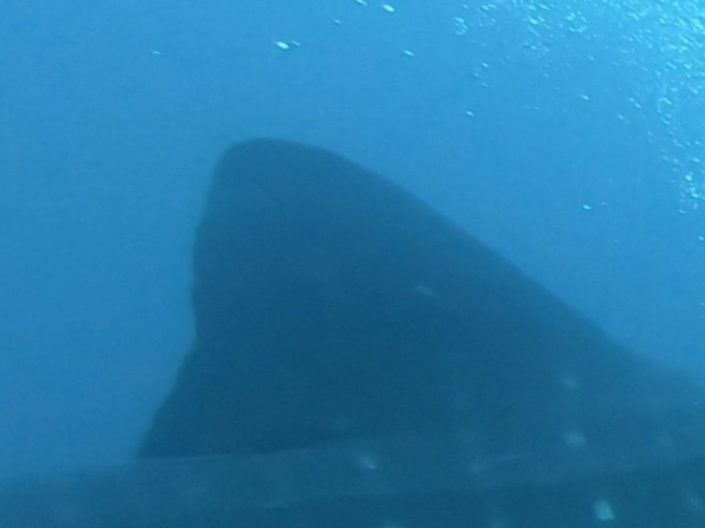 1e8c711f-87c7-428e-b403-517053672e45