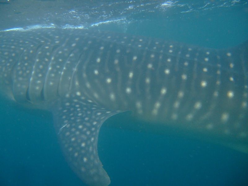 af9b00de-ac5e-497d-a2db-7e6129909311