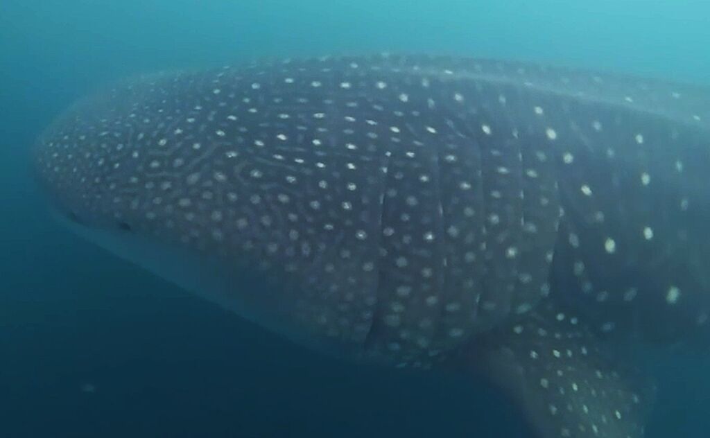 016df185-6ee2-4054-82a2-e1f0a93c2844