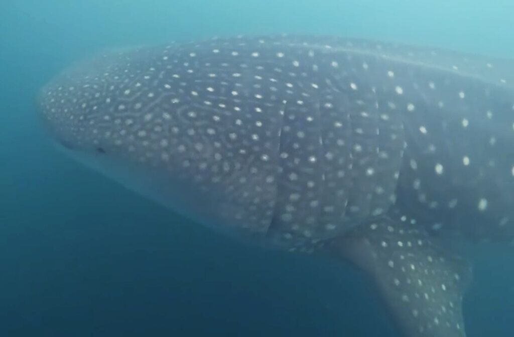 016df185-6ee2-4054-82a2-e1f0a93c2844