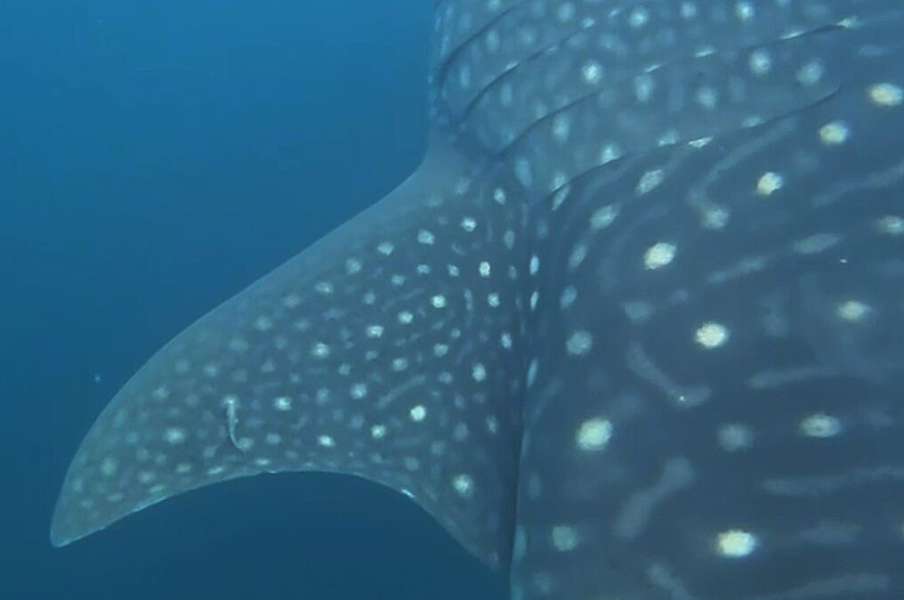 016df185-6ee2-4054-82a2-e1f0a93c2844