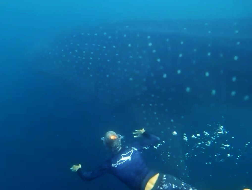 016df185-6ee2-4054-82a2-e1f0a93c2844