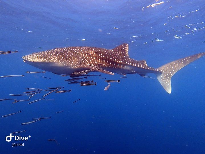 c27c4fdd-0b26-400e-9868-55bce4f93eec