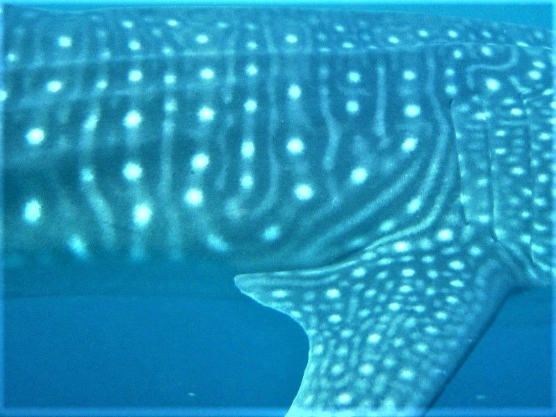 4ea708e4-4936-4e6b-ad28-968820f4181d