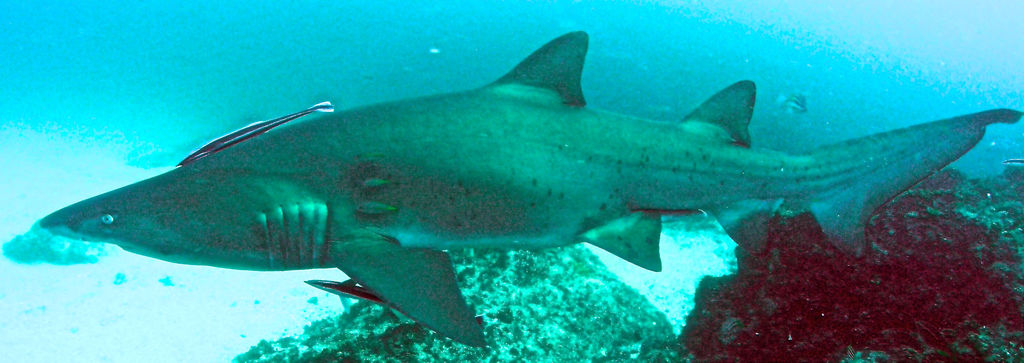 035b522d-7483-4fa2-9b91-d80b96b6deff