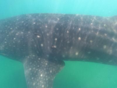 9f9a6fb0-76a6-4258-aaf5-769e90e7ce54