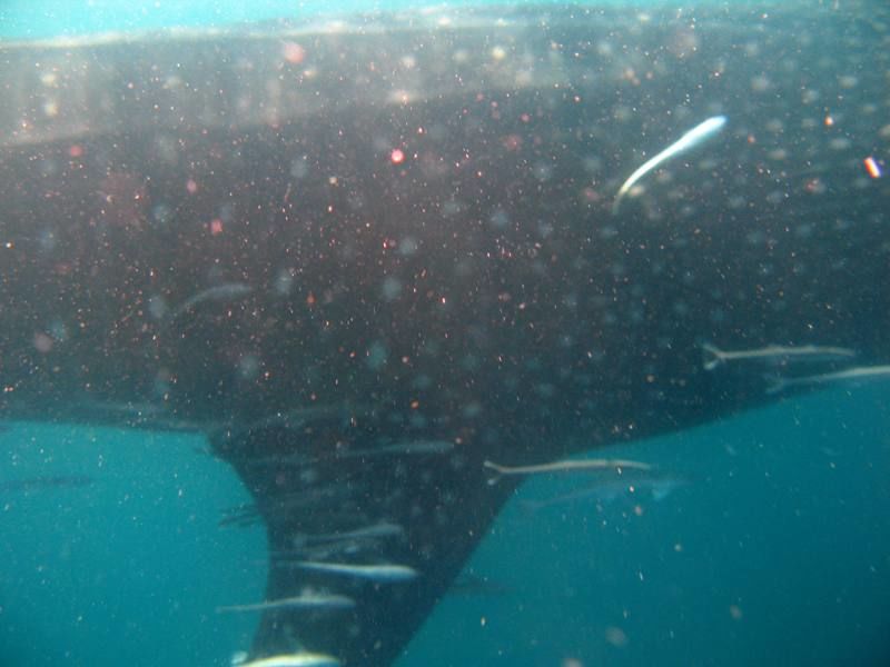 0dece99f-69d6-4734-b1c1-977248d57bab