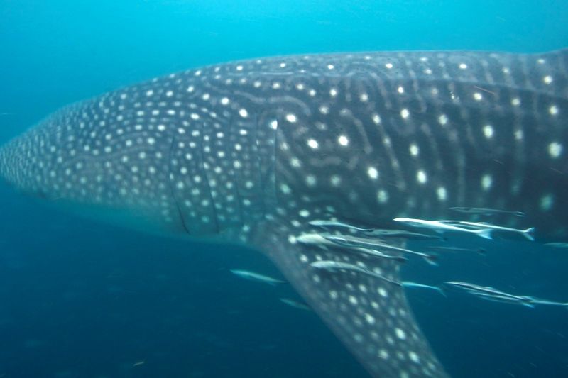 0dece99f-69d6-4734-b1c1-977248d57bab