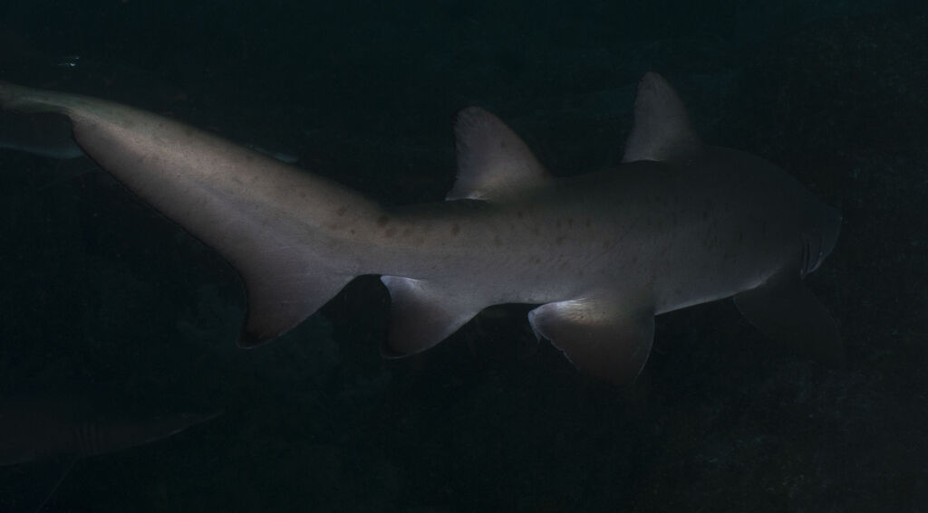 483c90d2-fbc6-4ab0-8a47-259ee04f7d83