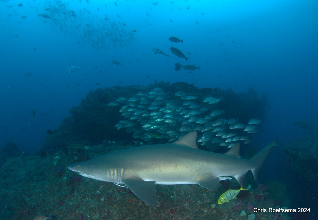 7105b1ea-6d38-4ce3-9c4b-3b6fcfddada3