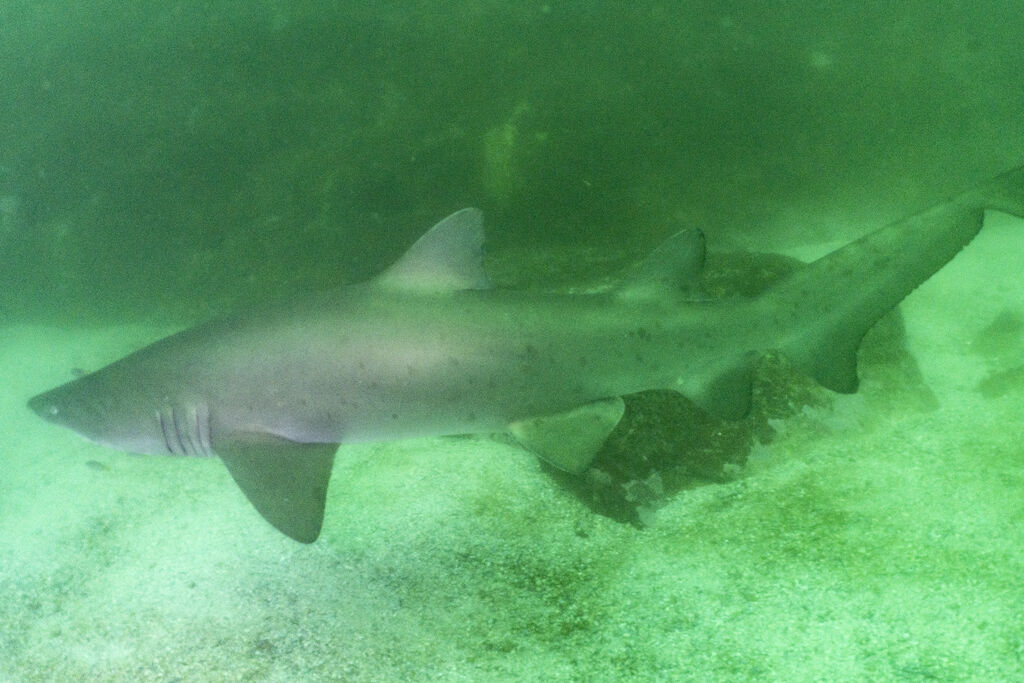 6bb48e3e-df69-429c-b41c-0d8277729d98