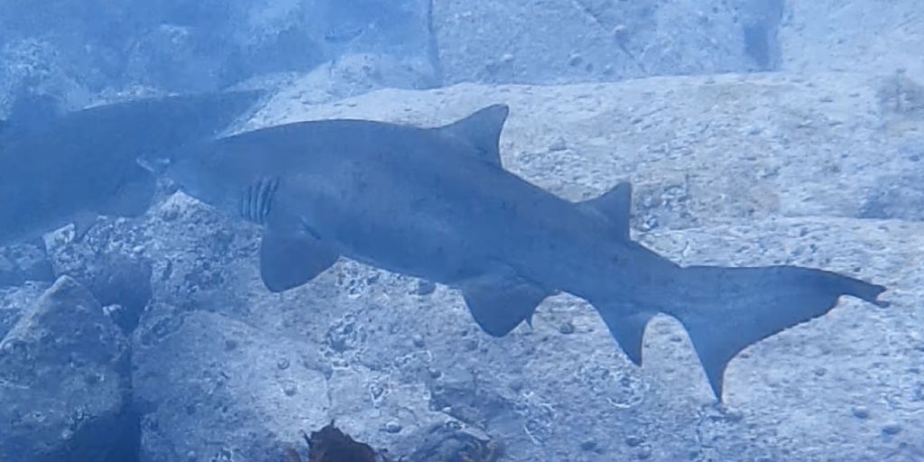 27bf62f6-98b3-4675-8cbe-35a6adf1df88