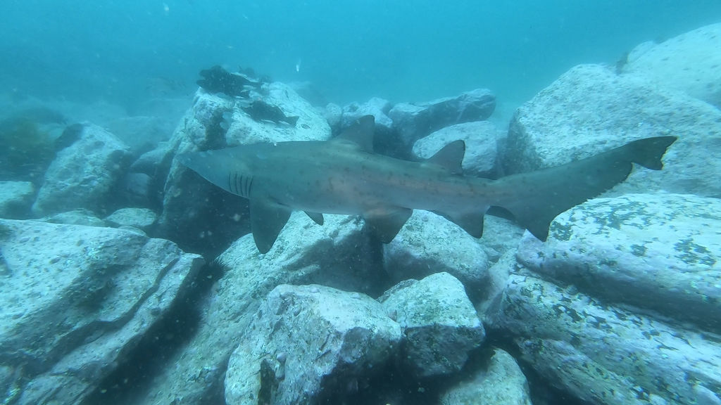 25cdcc4a-0575-4af6-9106-27be474b9ec4