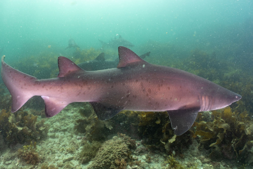 5199233c-9add-47e3-872d-fcdee874195c