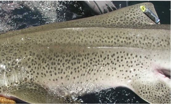 c5ffd783-9813-4786-9785-111f346aa5a6