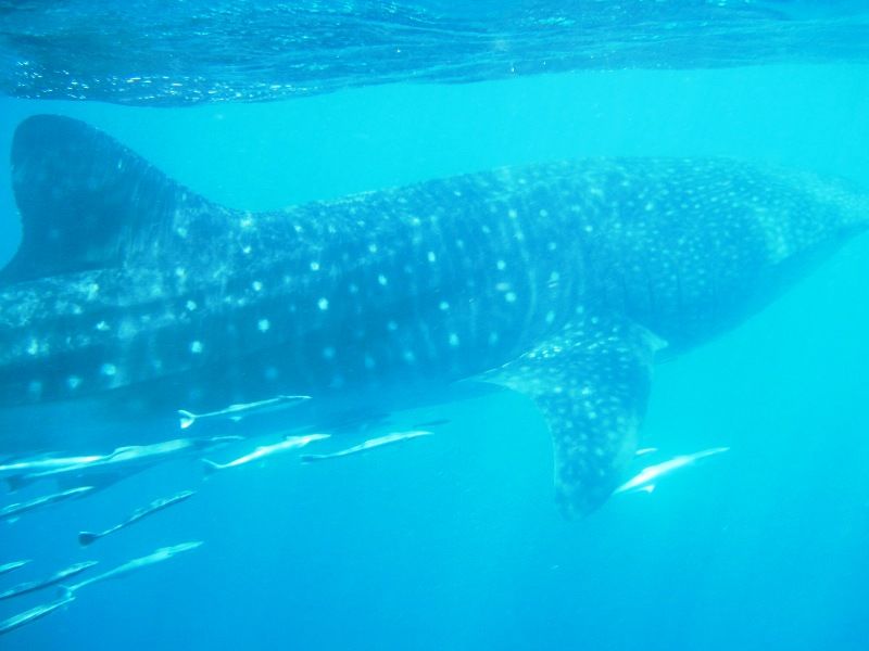 3032cff4-f3ab-44ba-a6da-b27d08ec541b