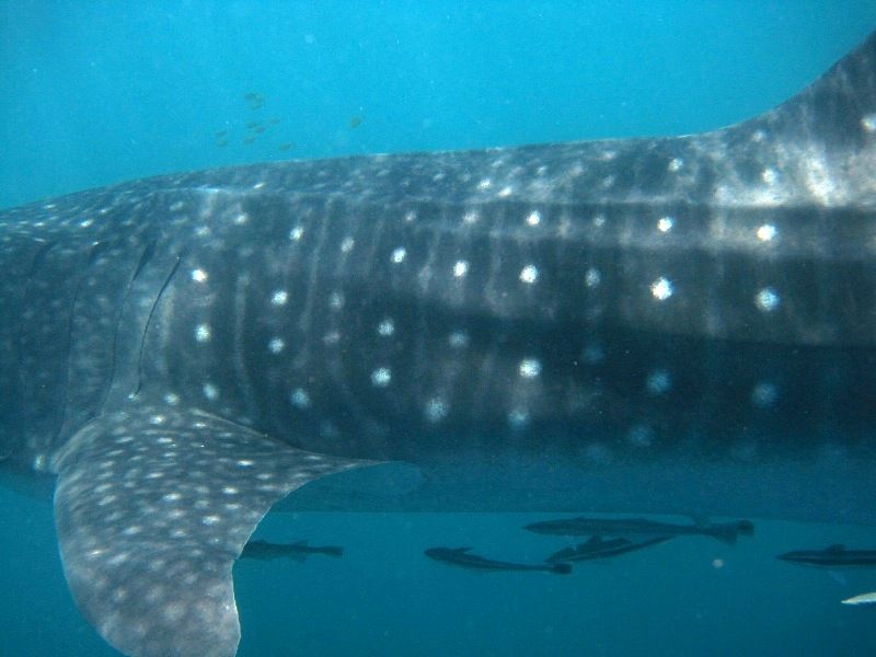 3032cff4-f3ab-44ba-a6da-b27d08ec541b