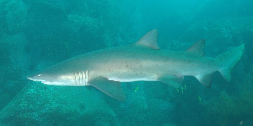 c98e45be-2c89-4488-8eae-84a7715149ac